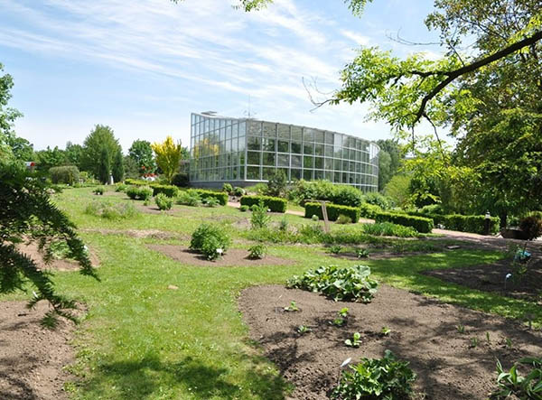 The Botanical Garden